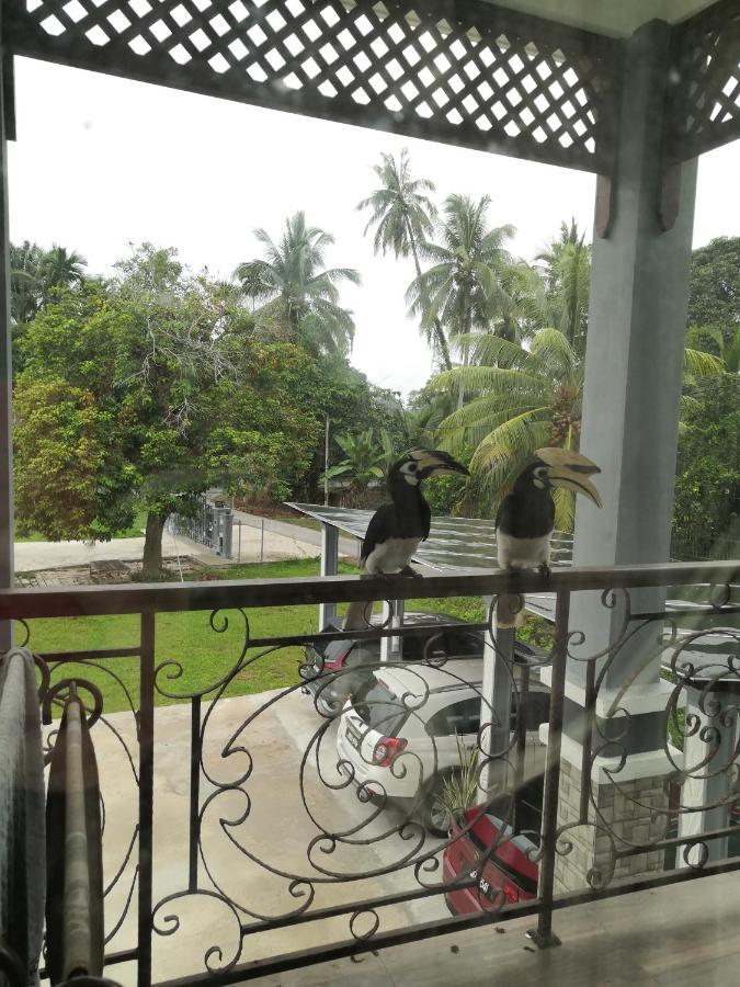 Darney'S Homestay Kg Bangau Tanjung Temerloh Exteriér fotografie